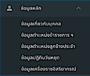 รูปภาพที่ 2 – 2 แถบเมนูย่อยข้อมูลหลัก